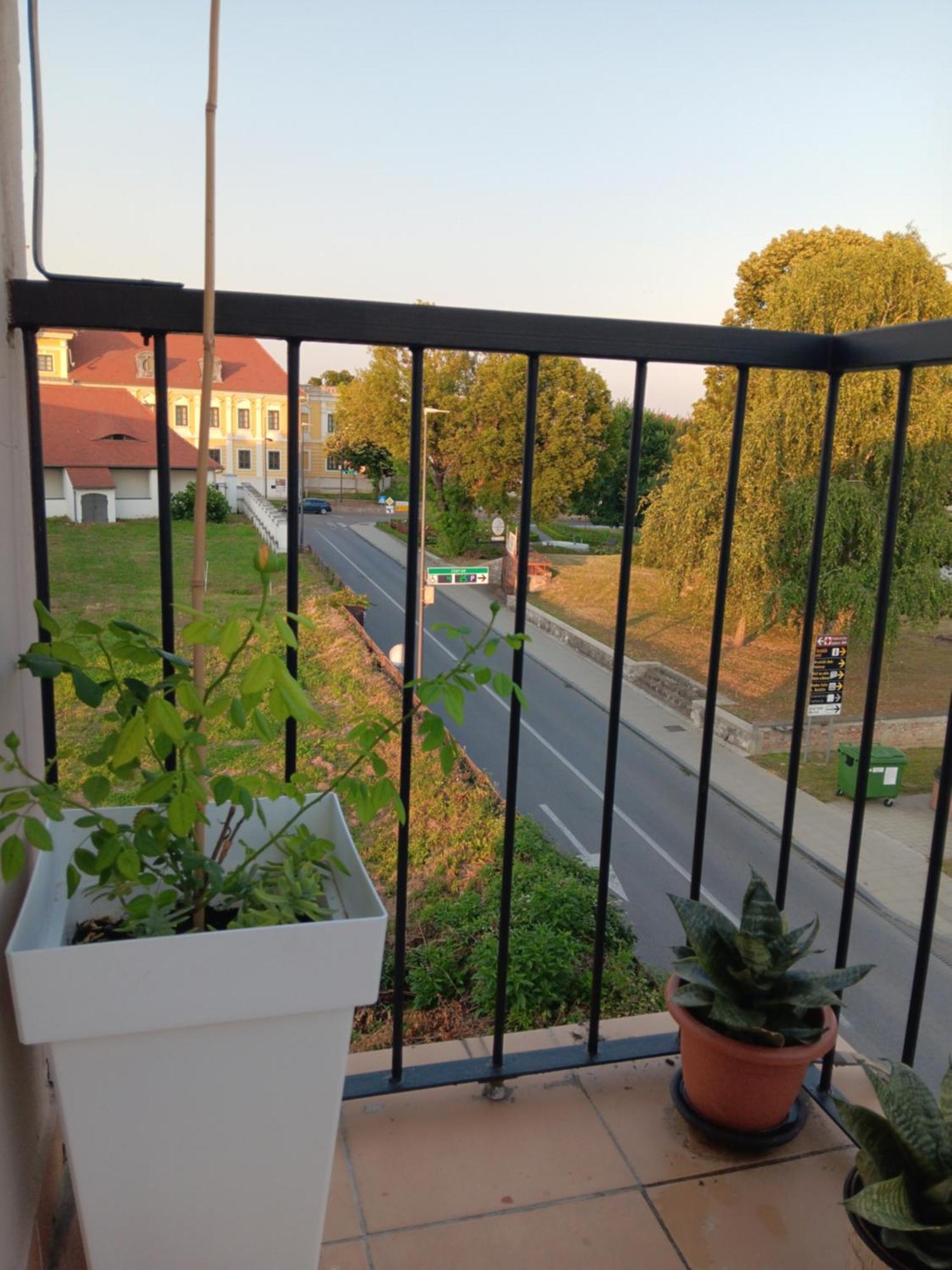 Dunav Apartment