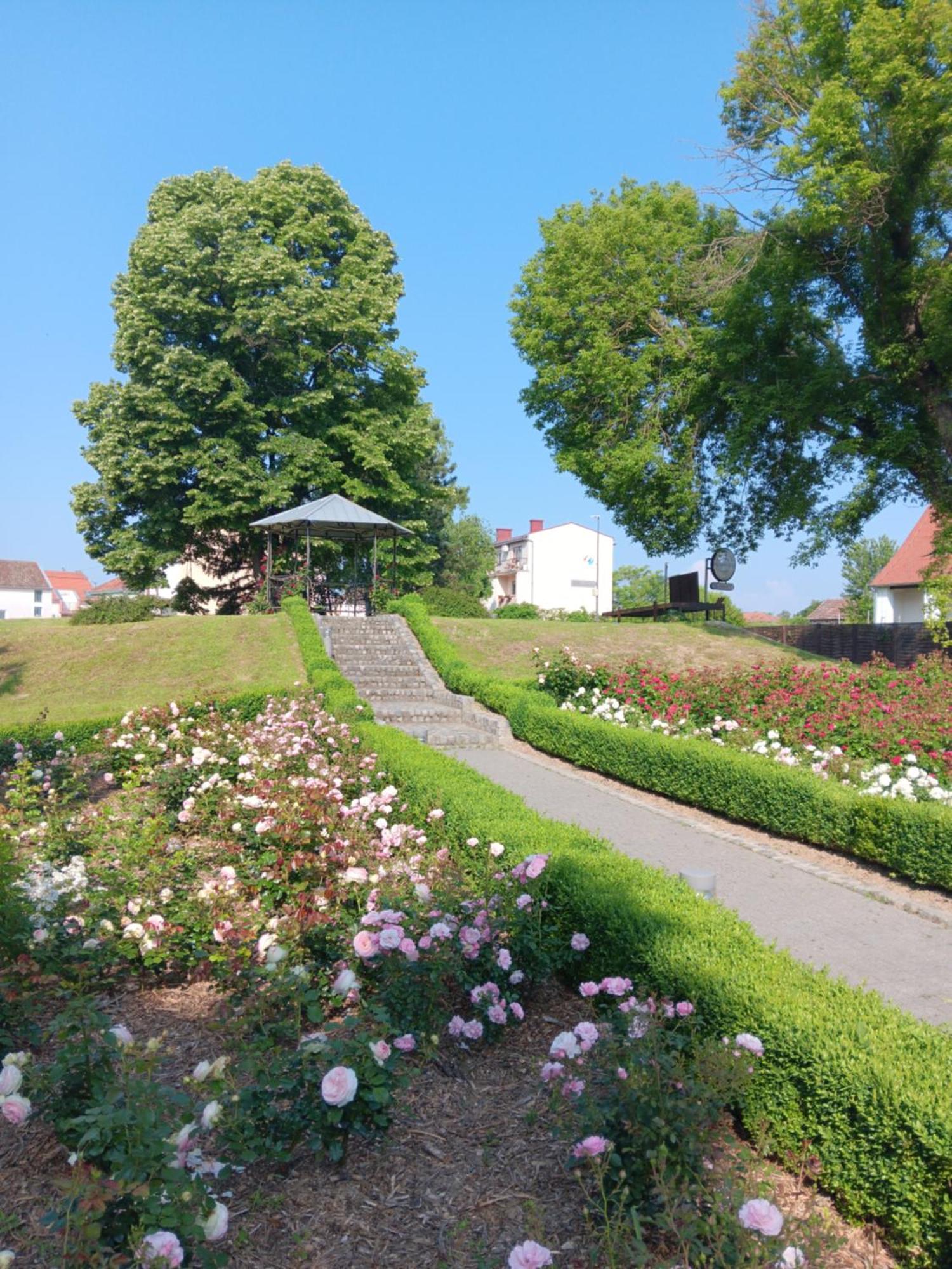 Apartment Dunav *